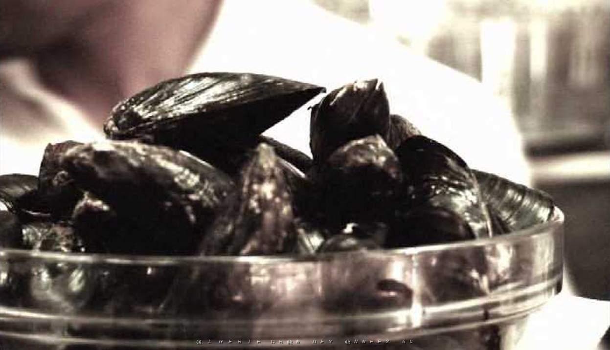 VALENCIENS EN ALGERIE 307.jpg